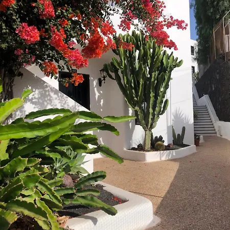 Apartment The Blue Dragon By The Port Puerto del Carmen (Lanzarote)